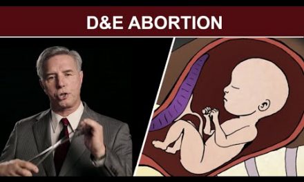 Cine vede aceste imagini NU mai face AVORT! Animaţie medicală care ne arată ce se întâmplă cu fătul şi mama în timpul avortului