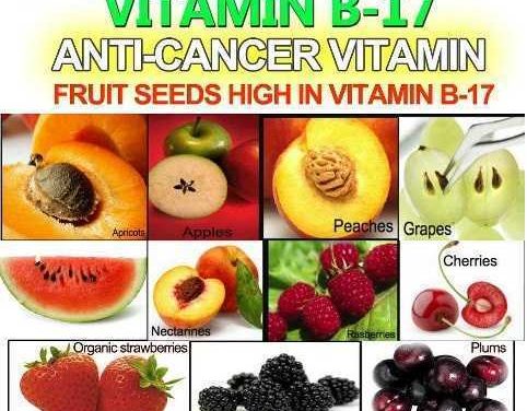 LEACUL PENTRU CANCER, INTERZIS DE MAFIA INDUSTRIEI “BIG PHARMA”? De unde ne putem lua VITAMINA B17 (Amigdalina)?