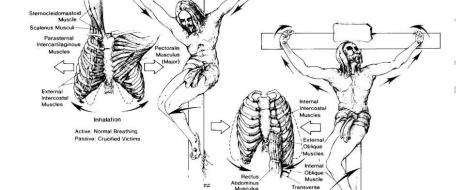 55 de puncte ale morții lui Iisus, din punct de vedere medical-științific