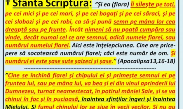 Pecetea lui Antihrist, De ce nu trebuie acceptat: card, pașaport biometric, etc