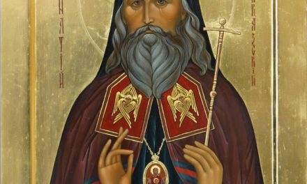 Învăţătura Sfinţilor Părinţi este învăţătura Sfântului Duh. Numai calea sfântului adevăr duce la mântuire; încununaţi vor fi numai cei ce se nevoiesc după lege