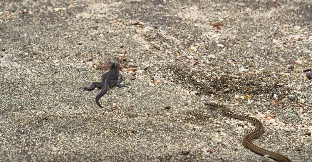 Cât de greu este astăzi să rămâi în Dreapta Credinţă