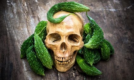 „Hrana artificială” produsă de compania Impossible Foods, sponsorizată de Bill Gates și Google, este compusă din organisme modificate genetic (OMG) și glutamat monosodic (GMS) … mai uimește pe cineva ?