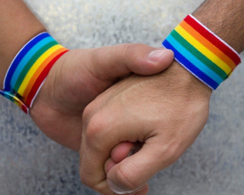 ,,PARTENERIATUL CIVIL” a fost SCOPUL URMĂRIT încă de la început? REFERENDUM în toamnă pentru modificarea CONSTITUŢIEI pentru INTERZICEREA căsătoriilor între HOMOSEXUALI