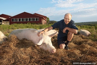 Recompensat de Universitatea Bucureşti, Peter Singer ȘOCHEAZĂ din nou. Întrebat ce ar salva dintr-un incendiu, între 200 de PORCI și un copil, filosoful răspunde: Suferința e atât de mare, că trebuie salvezi animalele în locul copilului!