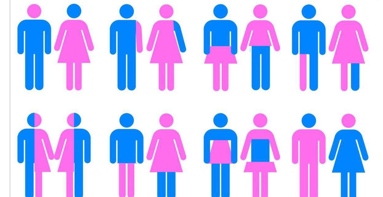 ANTIROMÂNISM TOTAL: Dacă părinții nu vor reacționa vehement până pe 10 iulie 2018, ”TEORIA GENULUI”, va fi predată legal din toamnă în toate școlile din România – proiectul de lege publicat recent ca ”Strategie Națională de Educație Parentală” devenind astfel lege.