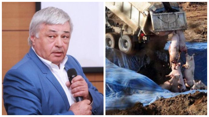 „O mână criminală vrea distrugerea zootehniei. Devenim piață de consum, Europa și-a atins țelul”