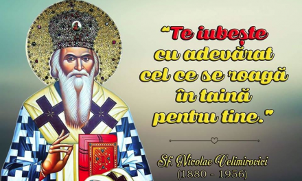 Vrăjmașii-prieteni