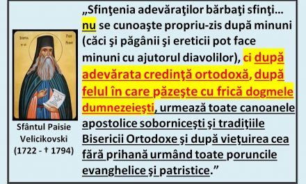 Sf. Paisie Velicikovski despre sfințenie