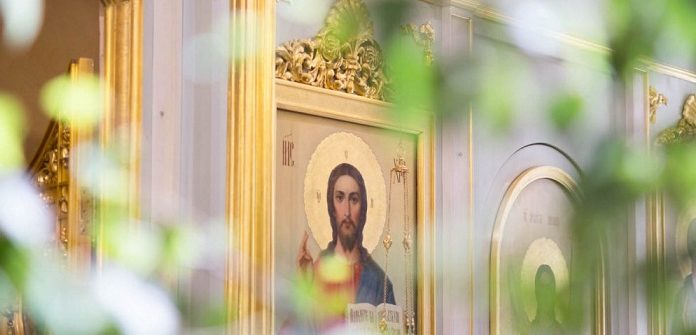 SCRISOARE  DESCHISĂ CĂTRE AI MEI – Paraschiva Rădoi