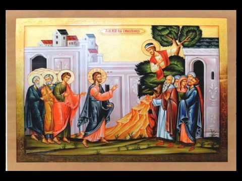 Predica Pr. Spiridon în Duminica lui Zaheu, 26.01.2020. Despre actele electronice de identitate și CNP