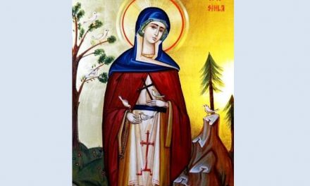 7 august – pomenirea Prea Cuvioasei Maicii noastre Teodora de la Sihla