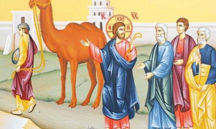 Predica Părintelui Ieronim la pilda Dregătorului bogat – păzirea poruncilor – 29 noiembrie 2020