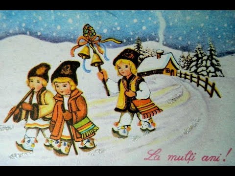 Plugușor la sfârșit de 2022