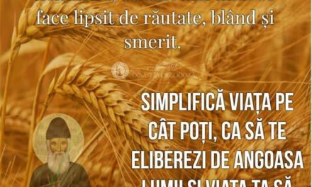 “Simplificați-vă viața, și stresul va fugi“ – Sfântul Paisie Aghioritul