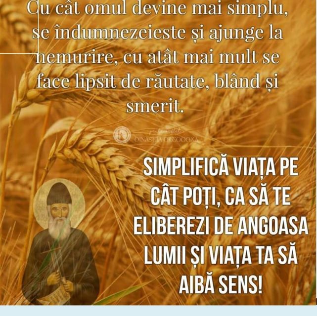 “Simplificați-vă viața, și stresul va fugi“ – Sfântul Paisie Aghioritul