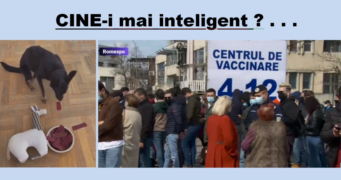 Cine este mai inteligent? – animalele ce refuză otrava, sau oamenii care stau la coadă pentru ea? …