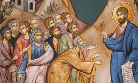 Predica Părintelui Ieronim la Duminica a treia după Pogorârea Sfântului Duh – Despre grijile vieții – 11 iulie 2021