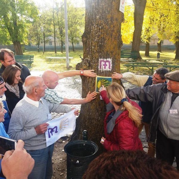 „Via Mariae” – Un pelerinaj ecumenist internațional ce va cuprinde și mânăstiri din Nordul Moldovei