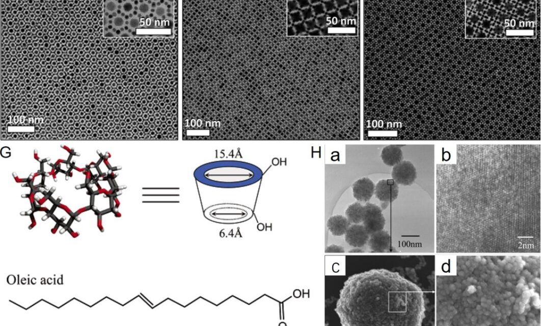ESTE REAL: Lucrarea științifică documentează „nanosisteme magnetice auto-asamblate” pentru interfața și sistemele de control al biocircuitelor cibernetice la oameni, inclusiv tehnologia „ADN hidrogel”