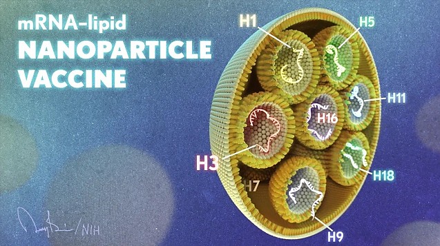 Un nou vaccin ARNm, în faza experimentală. Institutul Național de Sănătate din SUA anunță apariția vaccinului antigripal multivalent, bazat pe acceași tehnologie ca vaccinurile anticovid