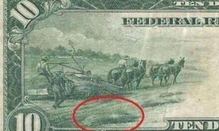 Cânepa industrială nu este doar o plantă agricolă. Este antidotul împotriva petrolului și a dolarului.
