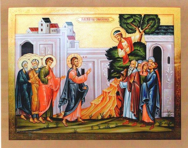 Predica Părintelui Andrei la Duminica lui Zaheu – 22 ianuarie 2023