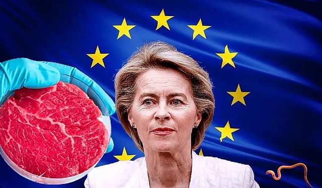 După interzicerea mașinilor pe benzină din 2035, UE ia încă o decizie radicală: Consumul de carne se va reduce cu 70% până în 2030. Olanda, fruntașă la propaganda MARII RESETĂRI ALIMENTARE: interzice reclamele la carne