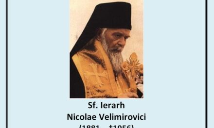 Prietenie şi vrăjmăşie – Sfântul Nicolae Velimirovici