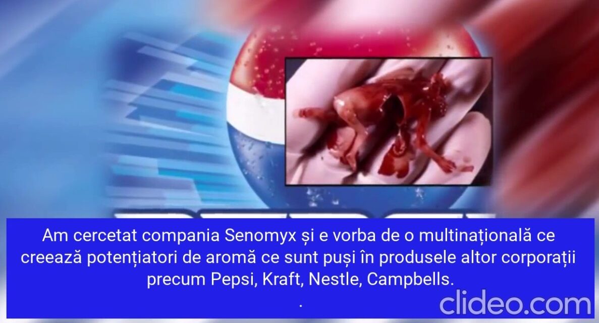 Marile corporații alimentare folosesc țesut de la bebelușii avortați pentru a crea gustul sintetic al aditivilor folosiți în mâncărurile procesate