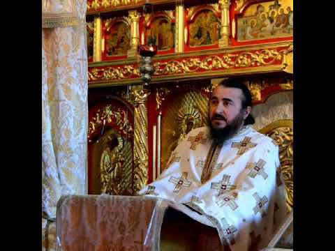 Predica Părintelui Xenofont la Duminica a VI-a după Rusalii (a Sf. Părinţi de la Sinodul al IV-lea Ecumenic; Vindecarea slăbănogului din Capernaum; Rugăciunea lui Iisus) – 16 iulie 2023