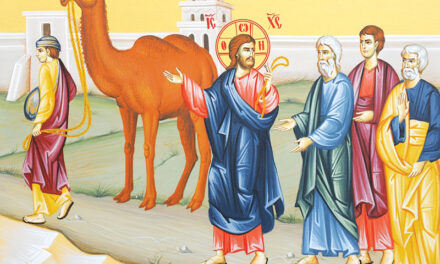 Predica Părintelui Antonie la Duminica a XII-a după Rusalii (Tânărul bogat) – 27 august 2023