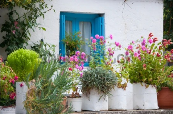 Din ciclul: vestita Grecie descoperită de Pr. Andrei – Acasă la… Gheronda…