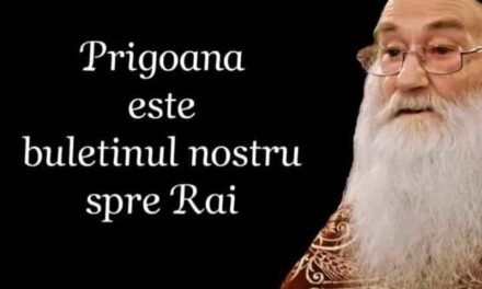 Părintele Justin Pârvu: dacă nu îl trezim pe fratele nostru, ni se socotește un fel de lepădare, trădare