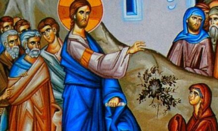 Predica Părintelui Andrei la Duminica a XVII-a după Rusalii (a Cananeencii) – Despre smerenie, nepăsarea, unitatea dintre noi și despre dragostea de neam -18 februarie 2024
