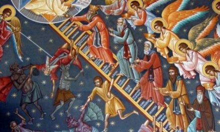 Predica Părintelui Andrei la Duminica Sfântului Ioan Scăraru – Despre aplicarea iconomiei și acriviei – 14 aprilie 2024