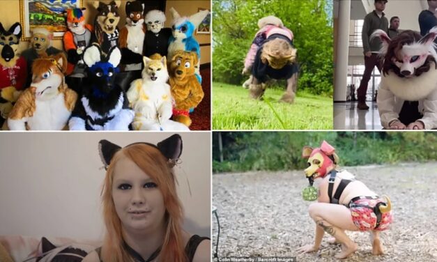 ATENȚIE PĂRINȚI !!! – Un trend bizar și șocant ia amploare în liceele din România: Elevii „furry” se identifică drept animale și vin îmbrăcați ca vulpi, pisici sau papagali: “Urcă în patru labe” – VIDEO