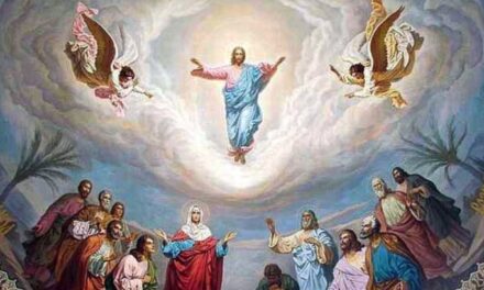 Predica Părintelui Xenofont la Înălțarea Domnului – 13 iunie 2024