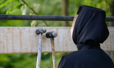 Strigătul unei maici