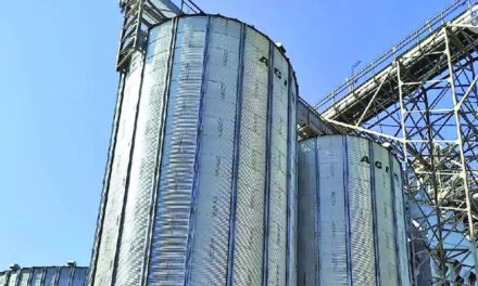 Chiar am înnebunit cu toții??? Nepăsarea în acest caz, echivalează cu complicitatea la ÎNALTA TRĂDARE !!! – Derapaj (și) la Rezervele de stat. Stocurile de urgență, mutate pe teritoriul altor state