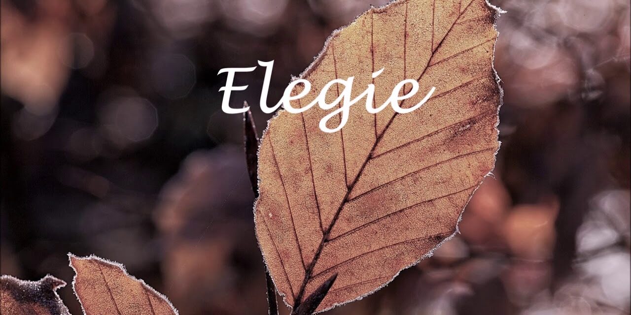 Elegie