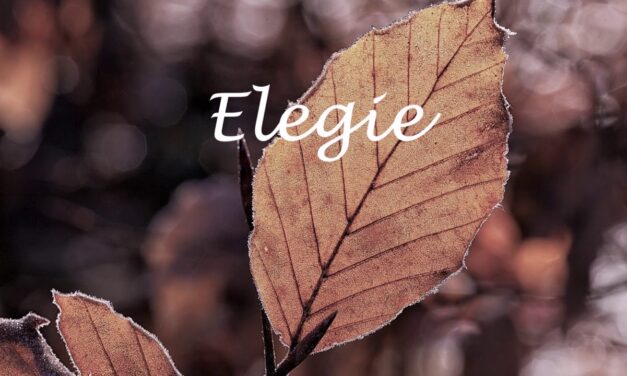 Elegie