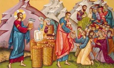 Predica Părintelui Antonie la Duminica a VIII-a după Rusalii (Înmulțirea pâinilor). Sf. Mc. Flor și Lavru – 18 august 2024