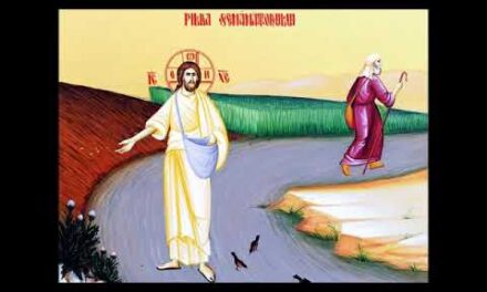 Predica Părintelui Xenofont la Duminica a XXI-a după Rusalii (a Sf. Părinţi de la Sinodul al VII-lea Ecumenic; Pilda semănătorului; Rugăciunea lui Iisus) – 13 octombrie 2024