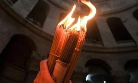 Zoe Dantes: Poți să mori pentru libertate? Poți!