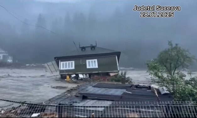 DEZASTRU în Bucovina – 28 iulie 2025 (video)