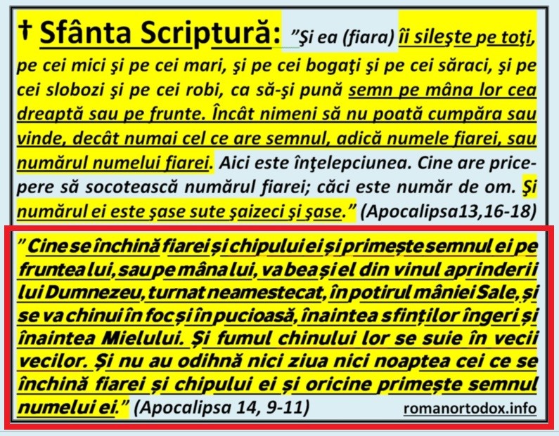 ERA ELECTRONICĂ A VENIT. România renunță la cardul național de sănătate: Cartea electronică de identitate devine singurul validător al serviciilor medicale