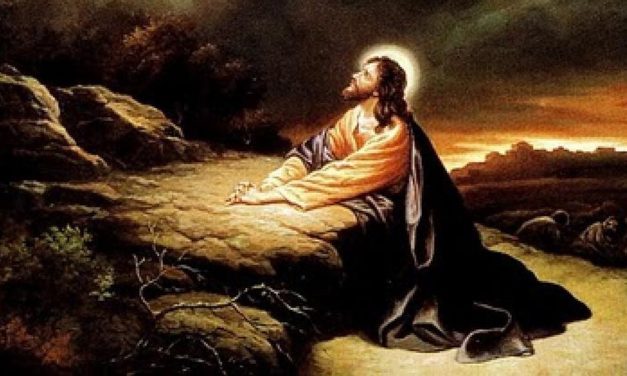 ”Cu cât te rogi mai mult din suflet pentru cel ce te defaimă, cu atât Dumnezeu le arată adevărul celor ce se smintesc.”