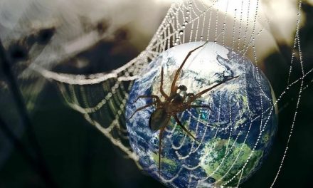 Internetul se transformă într-o mașinărie infernală de falsificat Informația și Istoria – Bun-venit în Tehno-feudalism!