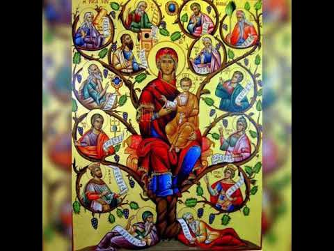 Predica Părintelui Andrei la Duminica dinaintea Nașterii Domnului (a Sf. Părinți după trup ai Domnului; Genealogia Mântuitorului). Genealogia Neamului Românesc. Este momentul trezirii conștiinței românilor! – 21 decembrie 2025